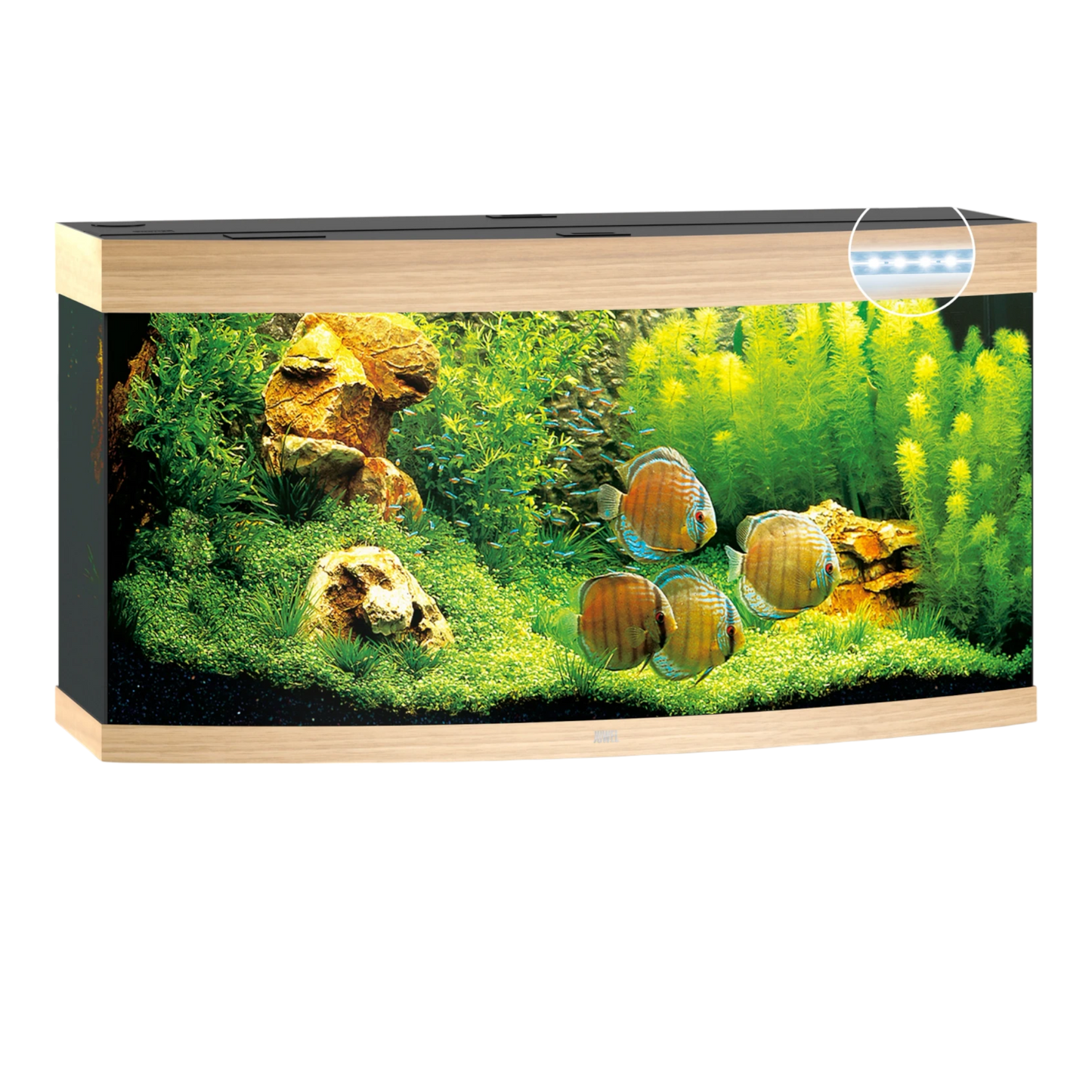 JUWEL VISION 450 Led - AQUAWORLD.AT, Erfolgreich durch Fachliche Beratung