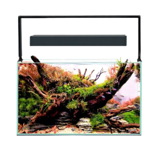 Aquael Ultrascape 60 – Das Perfekte Aquarium für Ihre Aquascaping-Kreationen