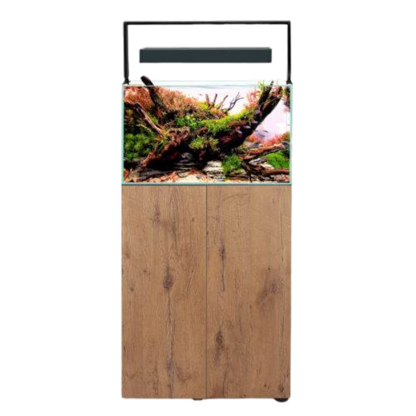 Aquael Ultrascape 60 – Das Perfekte Aquarium für Ihre Aquascaping-Kreationen - AQUAWORLD.AT, Erfolgreich durch Fachliche Beratung