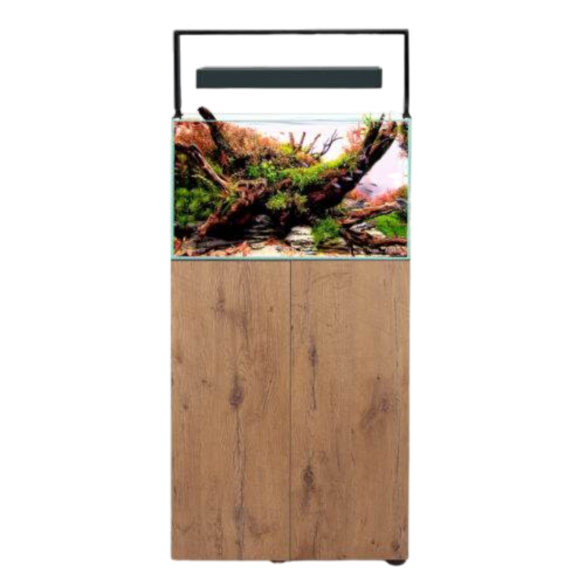 Aquael Ultrascape 60 – Das Perfekte Aquarium für Ihre Aquascaping-Kreationen - AQUAWORLD.AT, Erfolgreich durch Fachliche Beratung