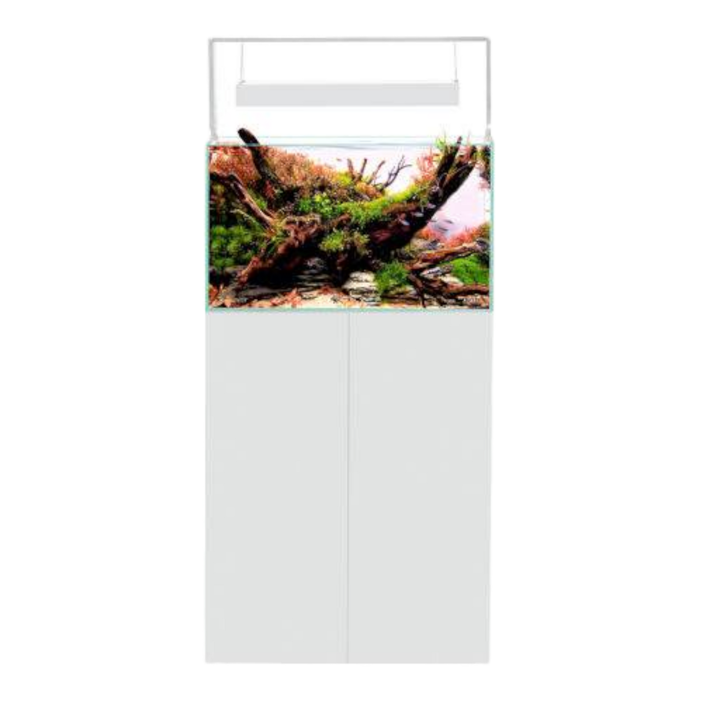 Aquael Ultrascape 60 – Das Perfekte Aquarium für Ihre Aquascaping-Kreationen - AQUAWORLD.AT, Erfolgreich durch Fachliche Beratung