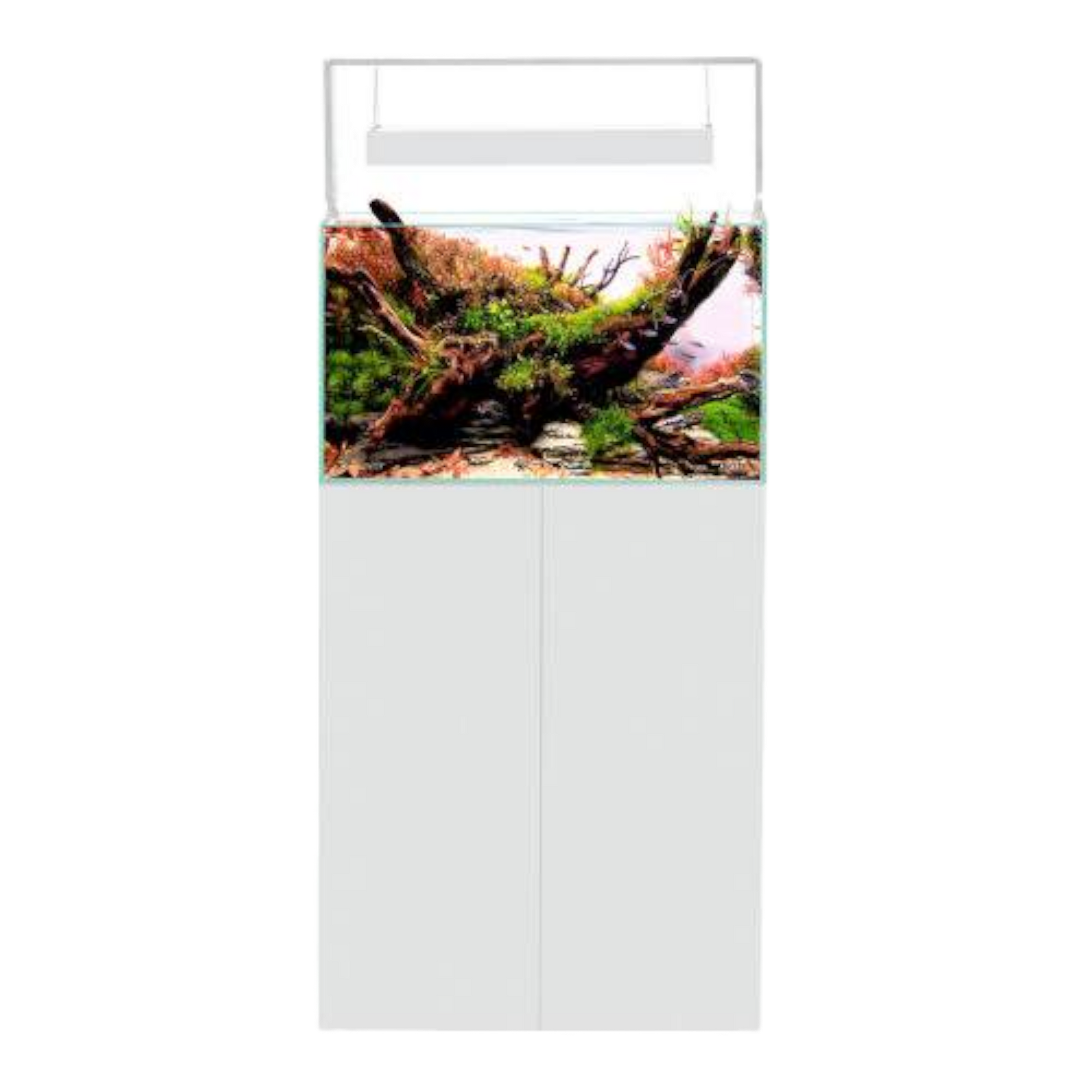 Aquael Ultrascape 60 – Das Perfekte Aquarium für Ihre Aquascaping-Kreationen - AQUAWORLD.AT, Erfolgreich durch Fachliche Beratung