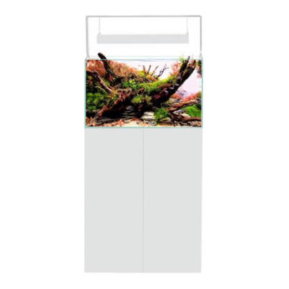 Aquael Ultrascape 60 – Das Perfekte Aquarium für Ihre Aquascaping-Kreationen - AQUAWORLD.AT, Erfolgreich durch Fachliche Beratung