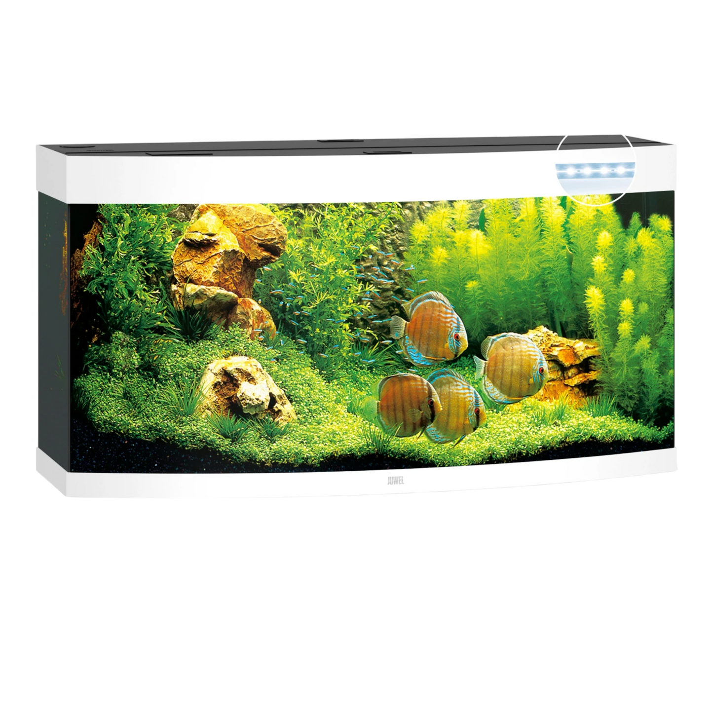 JUWEL VISION 450 Led - AQUAWORLD.AT, Erfolgreich durch Fachliche Beratung