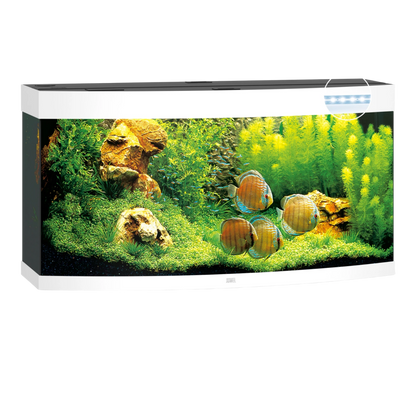 JUWEL VISION 450 Led - AQUAWORLD.AT, Erfolgreich durch Fachliche Beratung