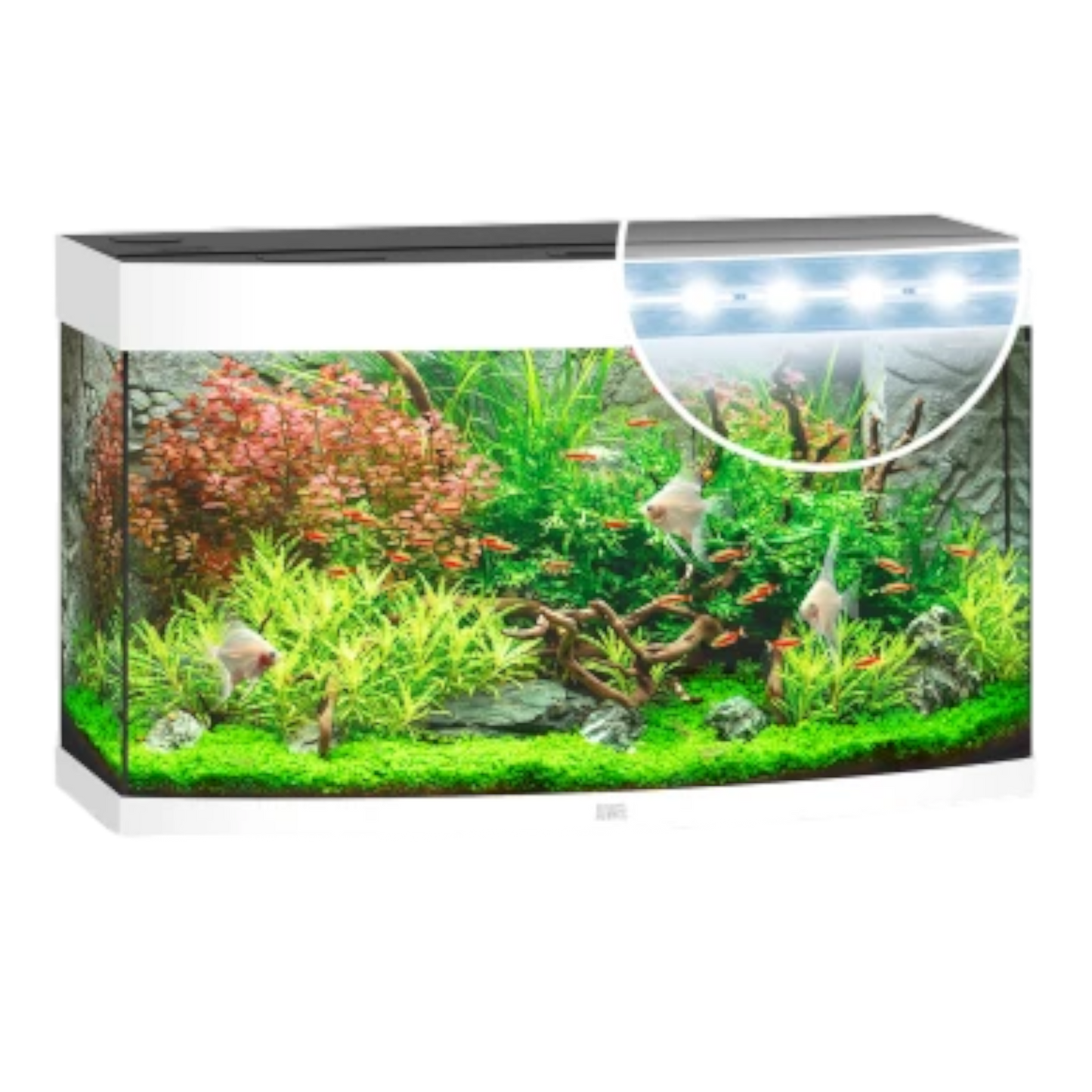 JUWEL VISION 180 Led - AQUAWORLD.AT, Erfolgreich durch Fachliche Beratung