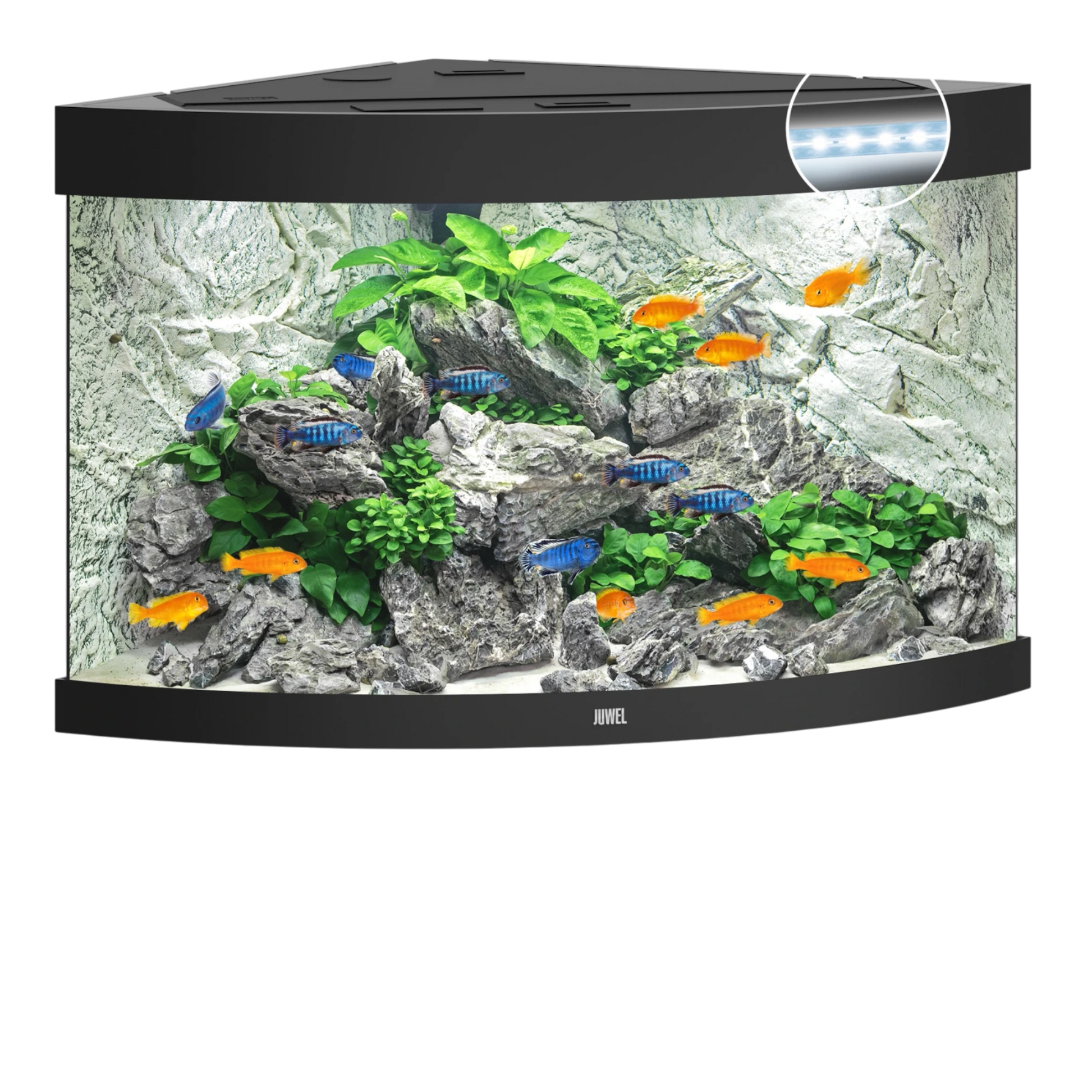 Juwel Trigon 190 LED – Eck-Aquarium in Top-Form - AQUAWORLD.AT, Erfolgreich durch Fachliche Beratung