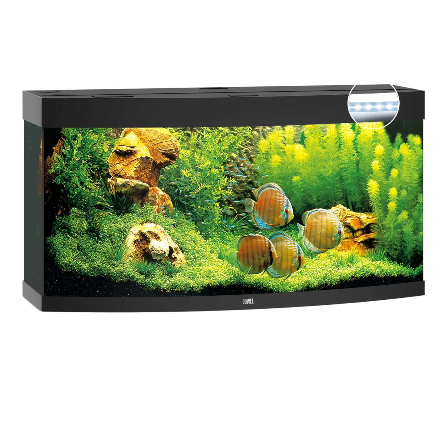 JUWEL VISION 450 Led - AQUAWORLD.AT, Erfolgreich durch Fachliche Beratung