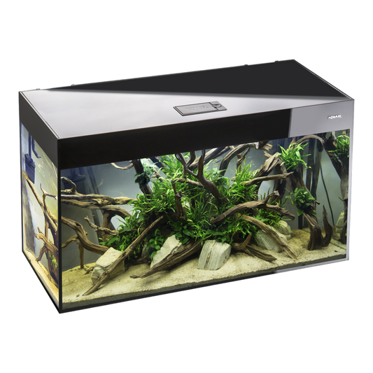 GLOSSY Set 100 D&N schwarz Aquarium - AQUAWORLD.AT