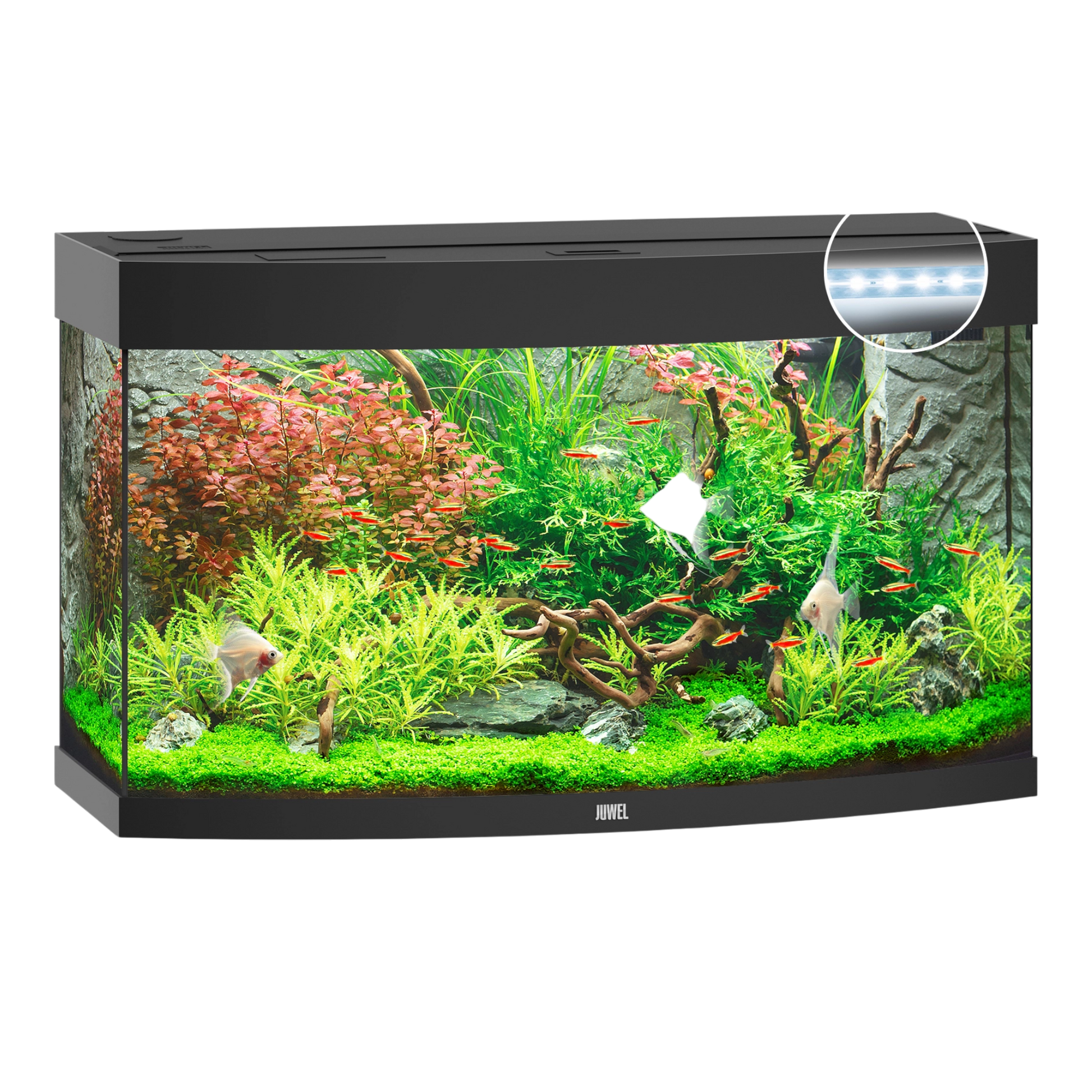 JUWEL VISION 180 Led - AQUAWORLD.AT, Erfolgreich durch Fachliche Beratung