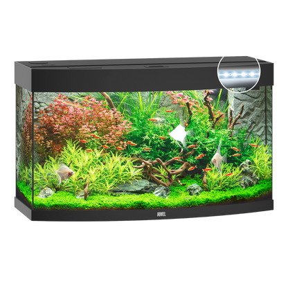 JUWEL VISION 180 Led - AQUAWORLD.AT, Erfolgreich durch Fachliche Beratung