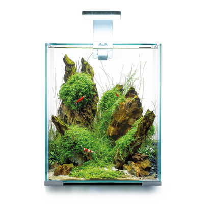 AQUAELShrimp Set Day & Night 20 L – Das ideale Nano-Aquarium für Garnelenliebhaber - AQUAWORLD.AT