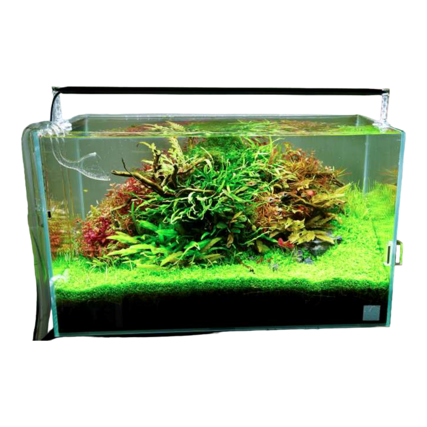 Chihiro Aquatic Studio A2 serie - AQUAWORLD.AT