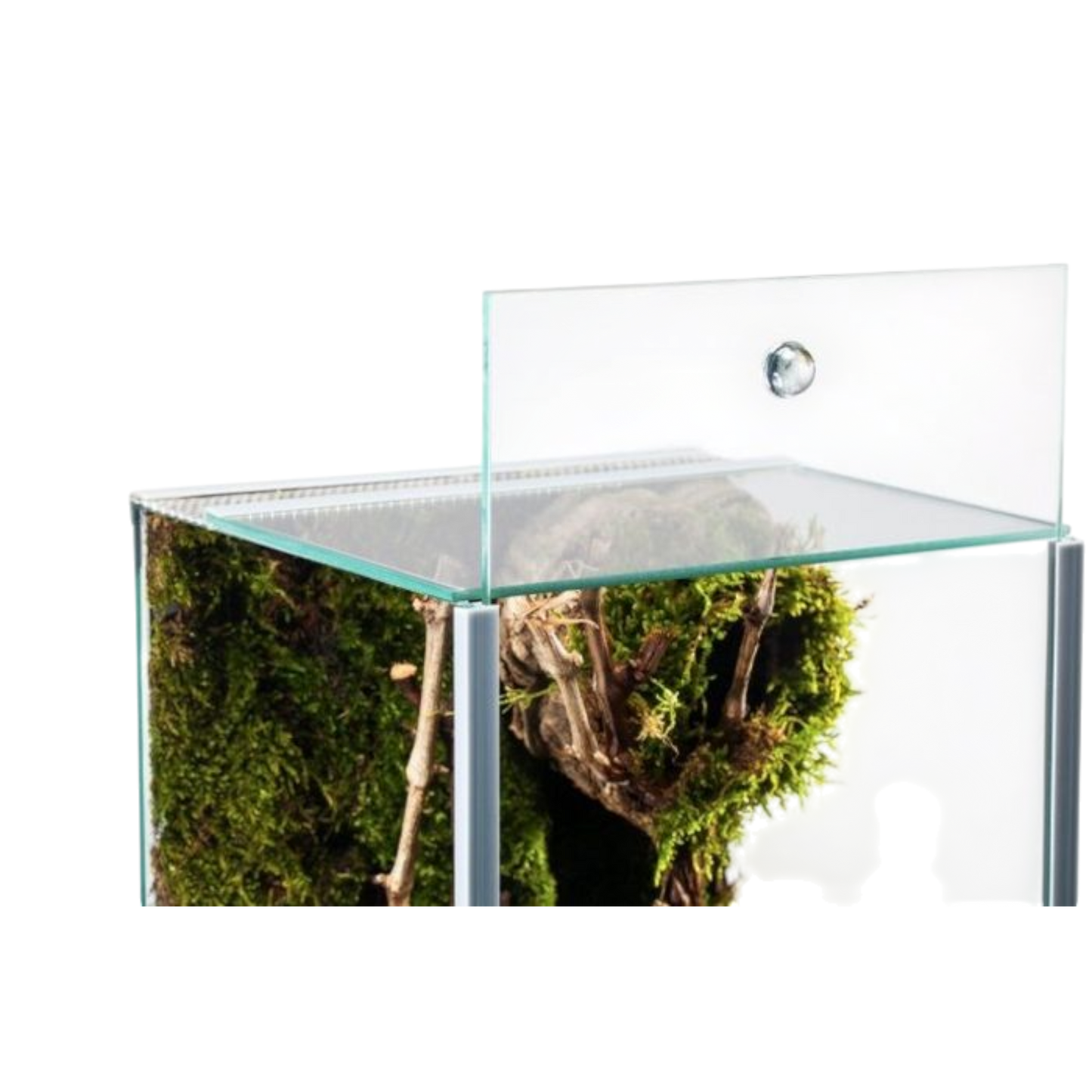 Me Top-Glas Terra Spider (20 x 20 x 40 cm) 3 mm – Terrarium für Spinnen und andere Terrarienbewohner - AQUAWORLD.AT