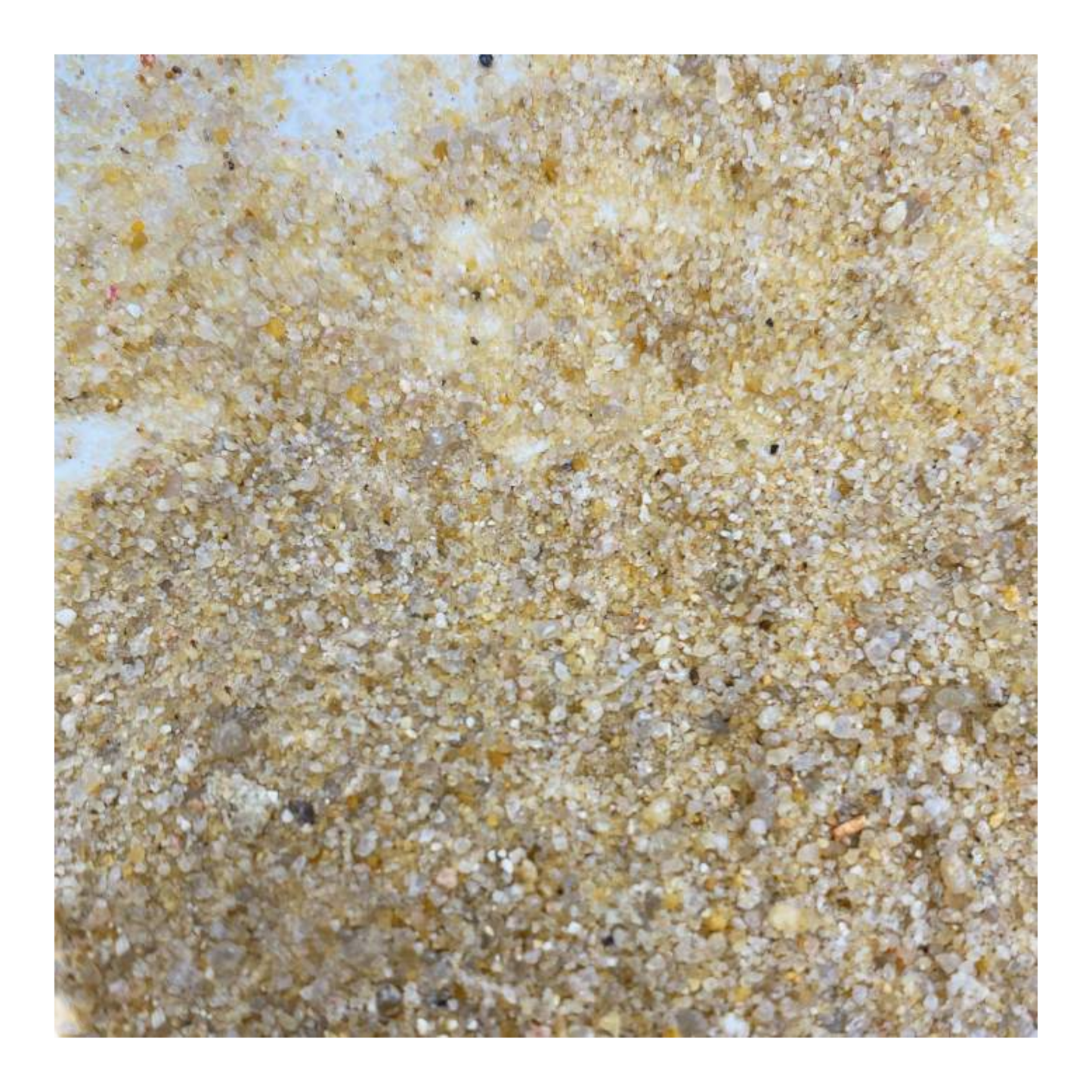 Me Nature Artic Sand, 0,1-4 mm (3 kg) – Feiner Bodensubstrat für Aquarien und Terrarien - AQUAWORLD.AT