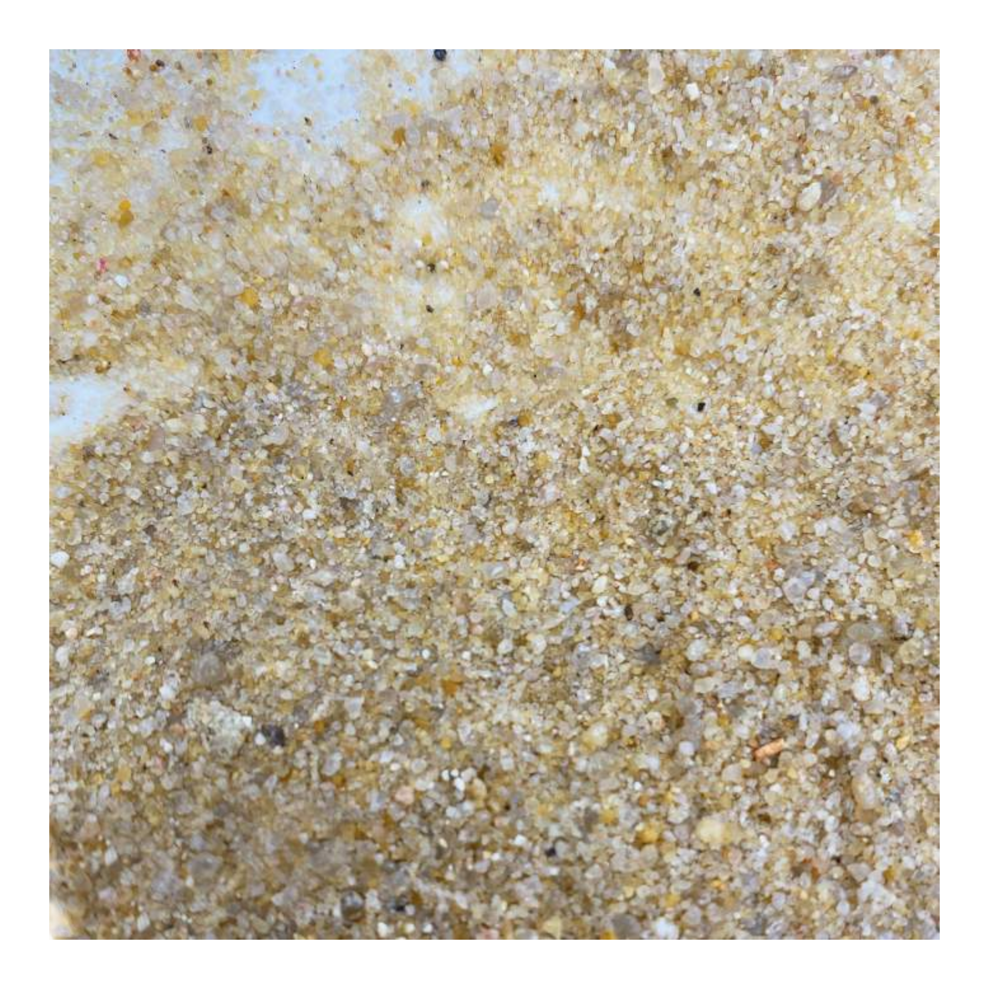 Me Nature Artic Sand, 0,1-4 mm (3 kg) – Feiner Bodensubstrat für Aquarien und Terrarien - AQUAWORLD.AT