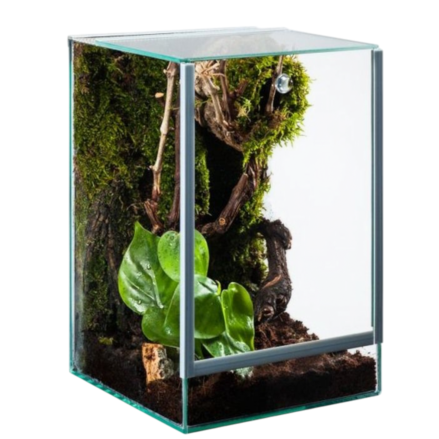 Me Top-Glas Terra Spider (20 x 20 x 40 cm) 3 mm – Terrarium für Spinnen und andere Terrarienbewohner - AQUAWORLD.AT